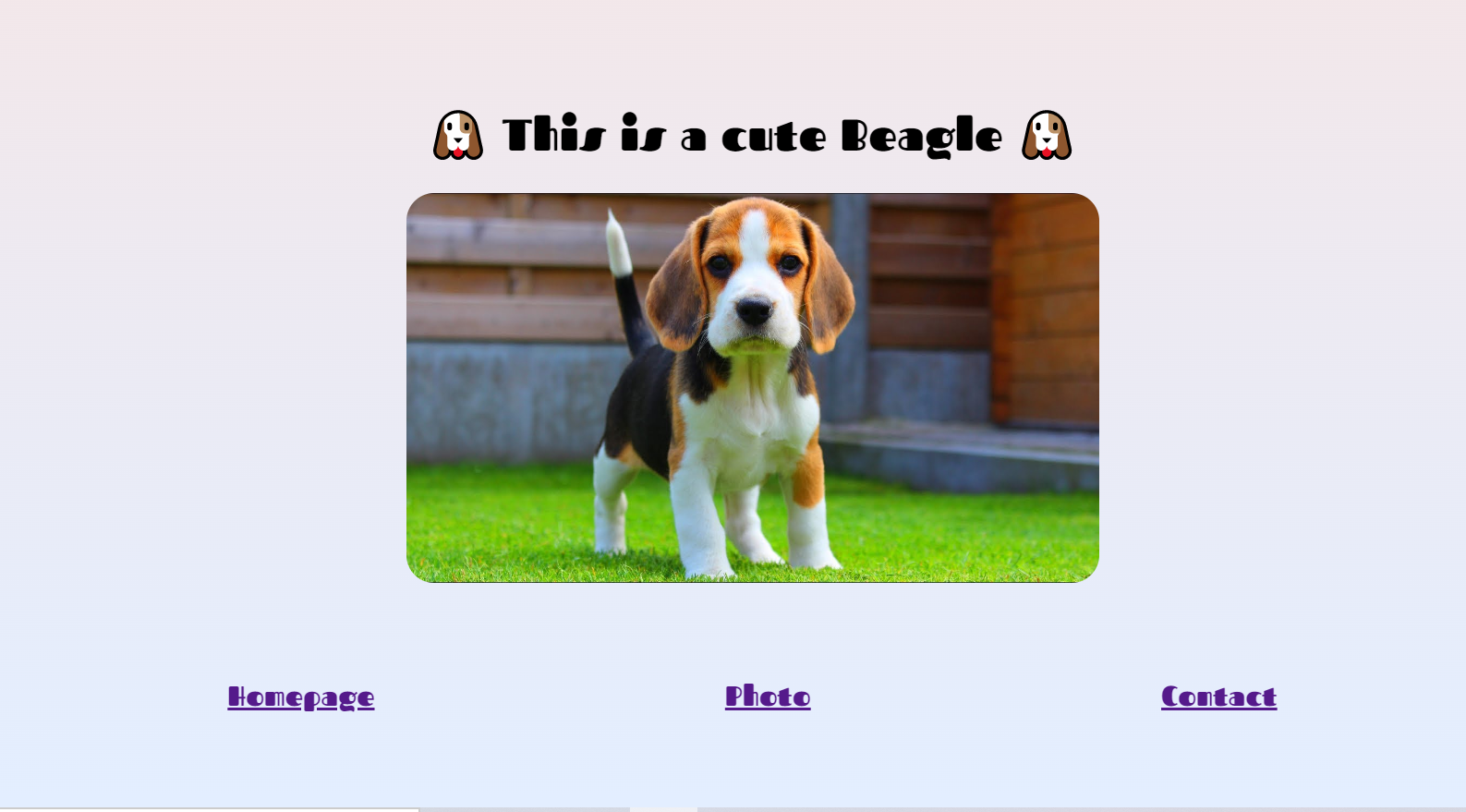 About beagle